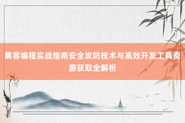 黑客编程实战指南安全攻防技术与高效开发工具资源获取全解析